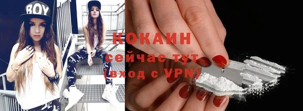 стаф Дмитров