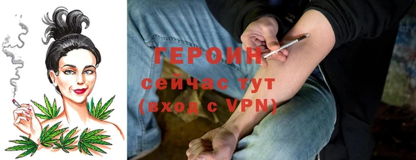 стаф Дмитров