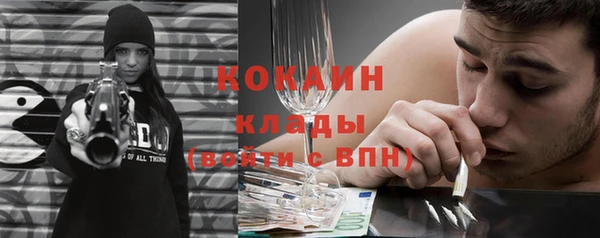 стаф Дмитров