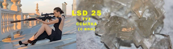 стаф Дмитров