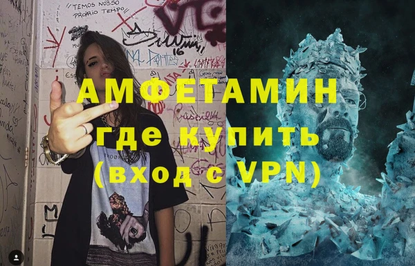 стаф Дмитров