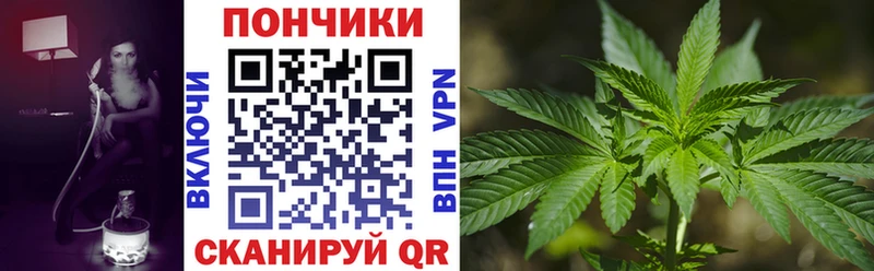 Конопля сатива  Купить  Бодайбо 